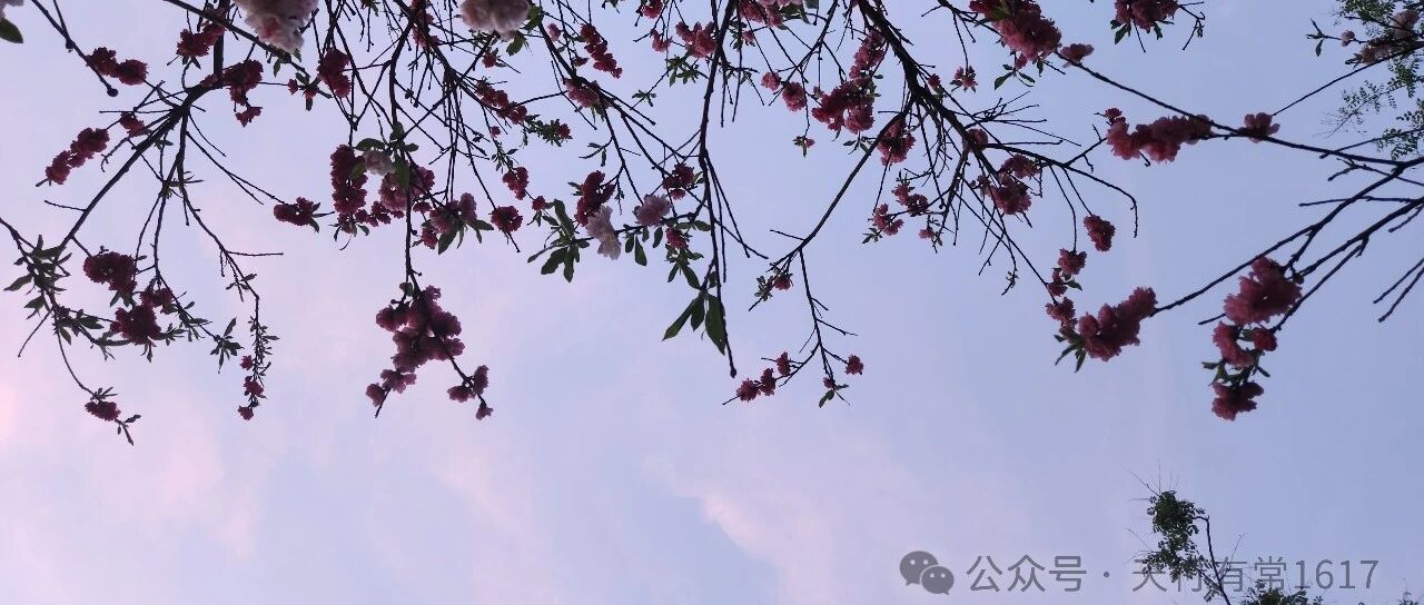 打官司要有多试试的心态