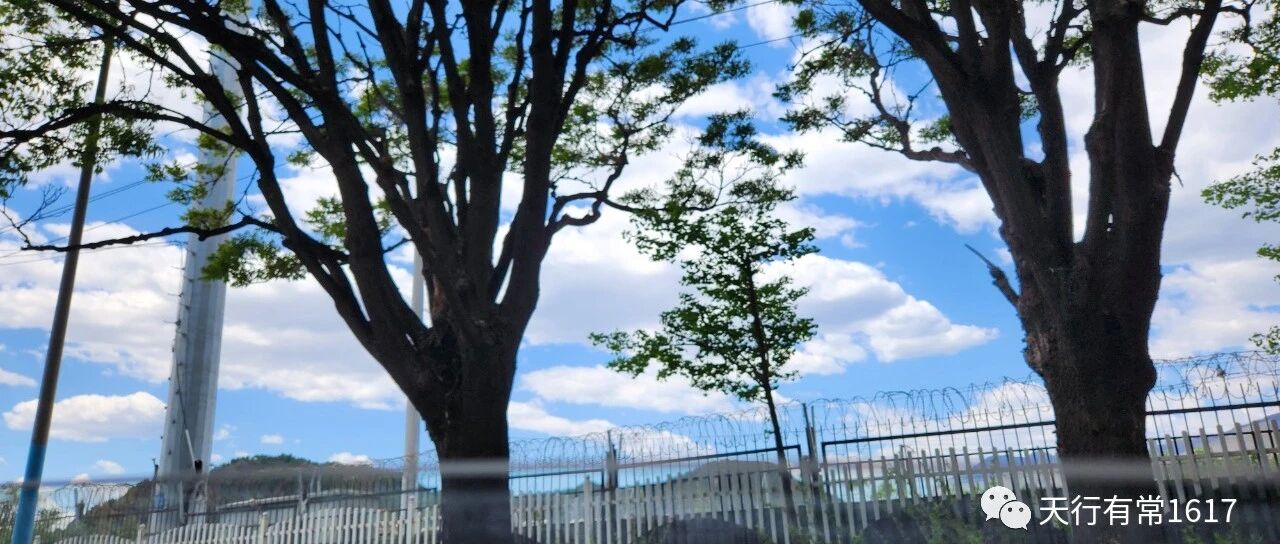 笔记|清算赔偿责任