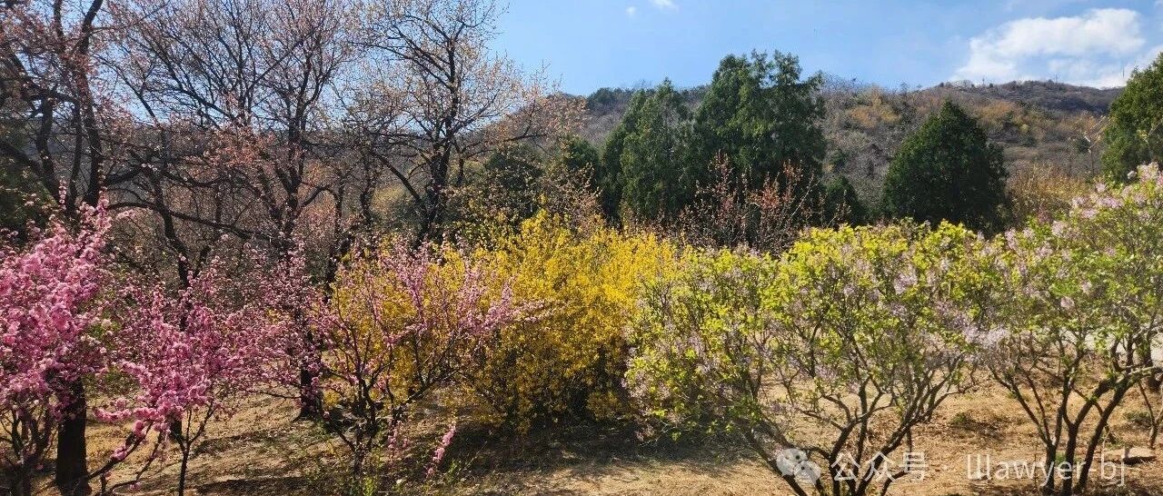 不能过分信任法官的专业水平