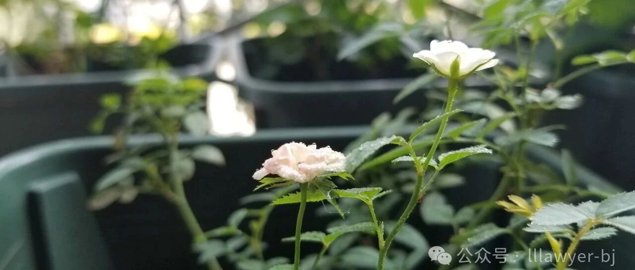 哪些案件适合风险代理