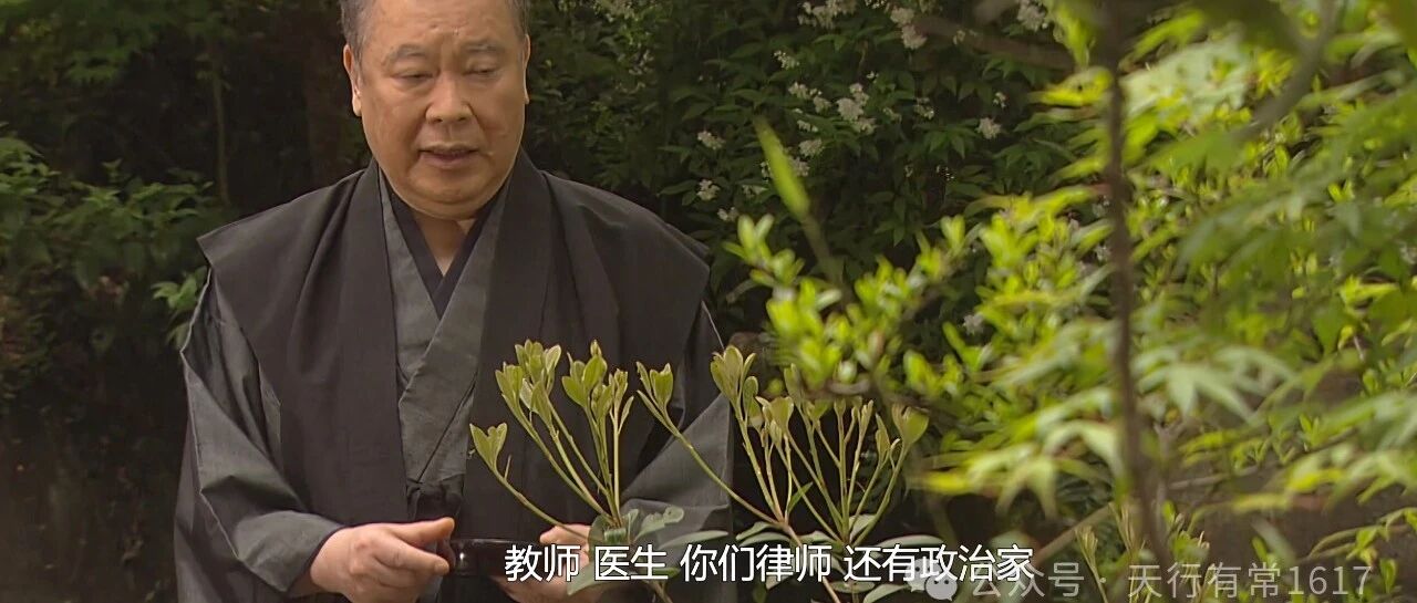 律师，何以为师