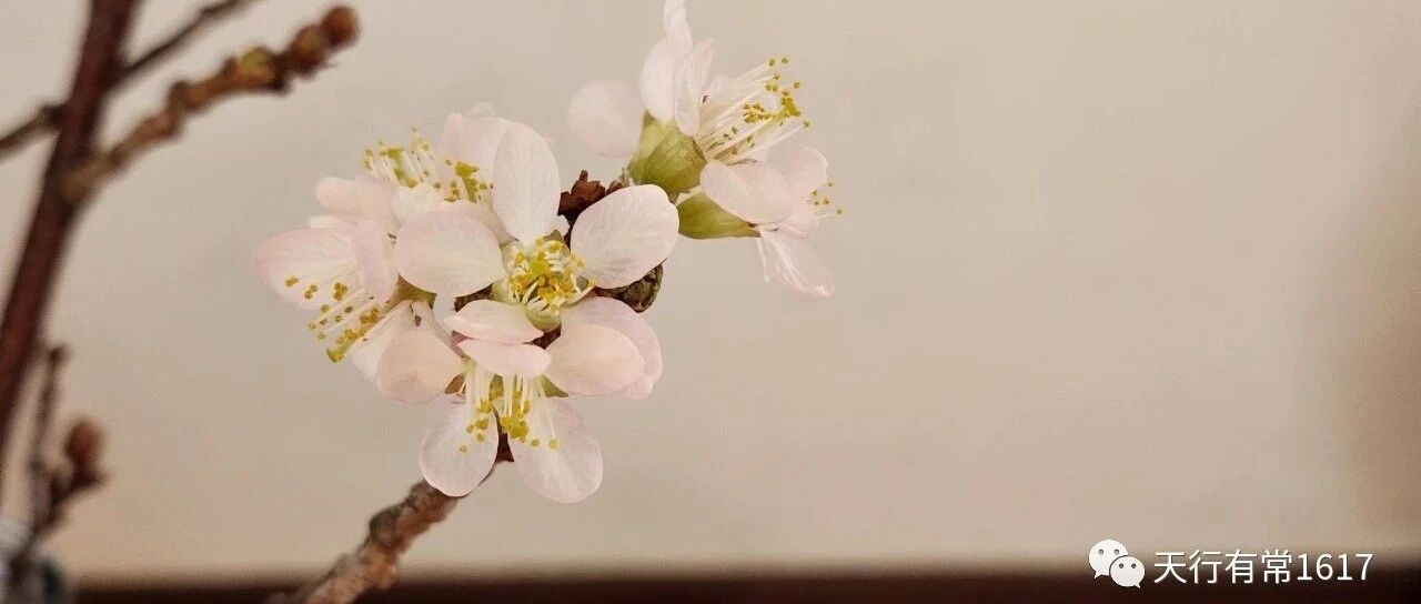 超过主债权范围的担保合同无效吗？