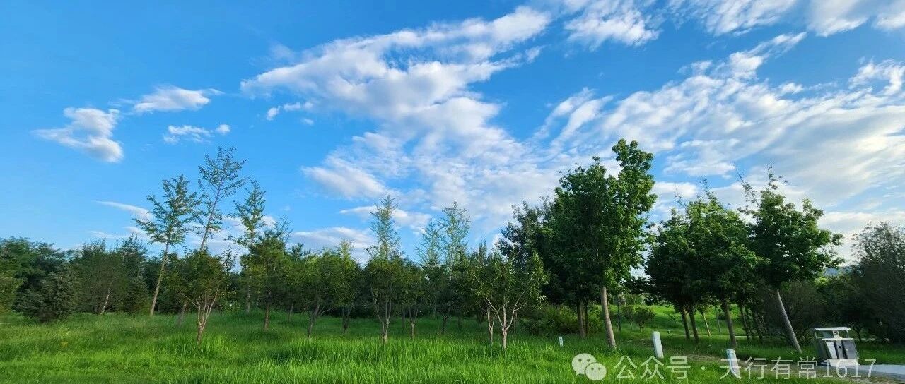 笔记|执行被执行人到期债权需要注意的问题