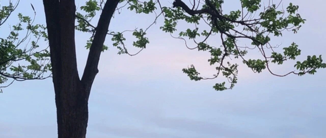 关于竞业限制，你需要知道的真相